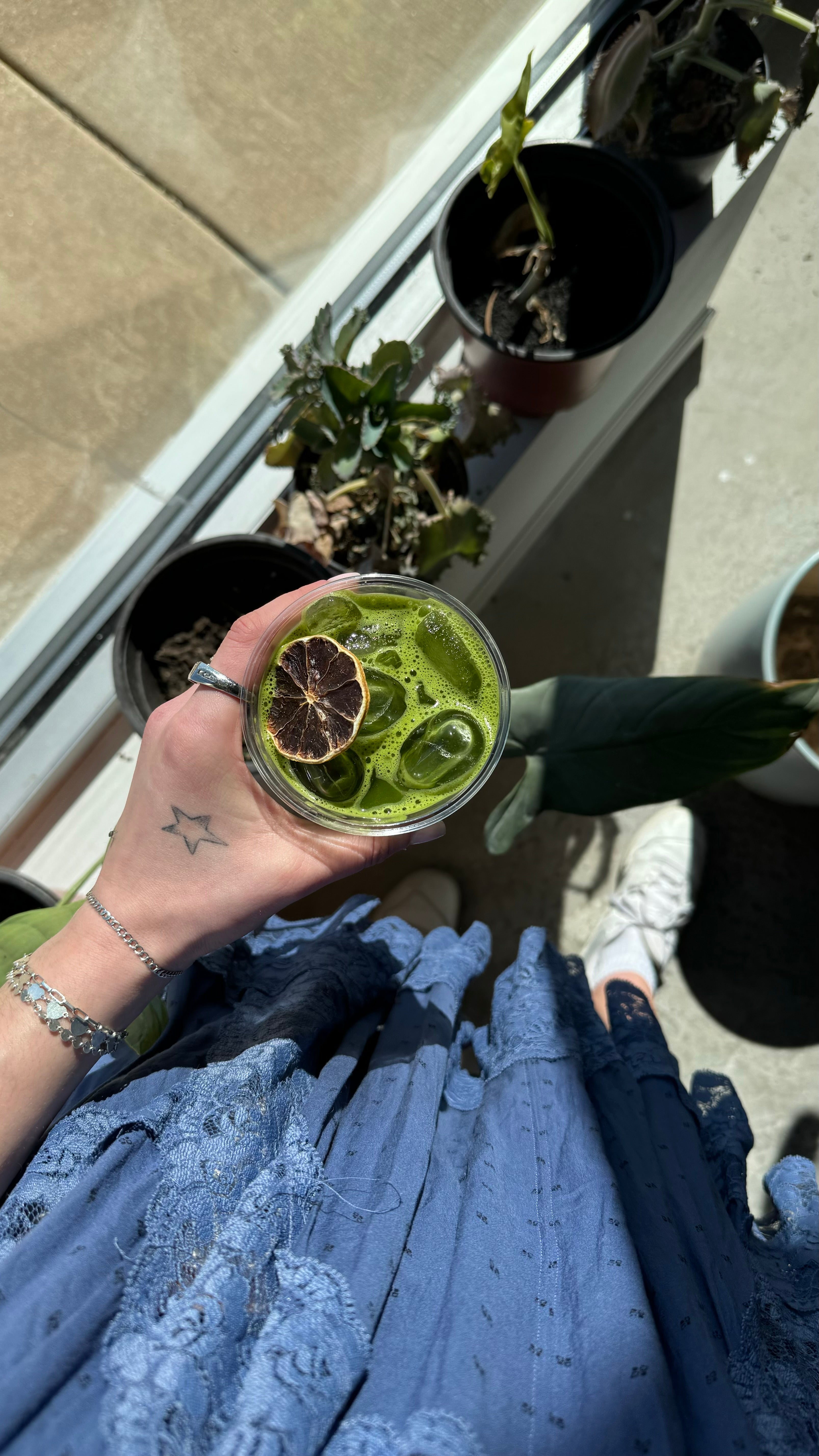 FIND US AT THE GREENHOUSE