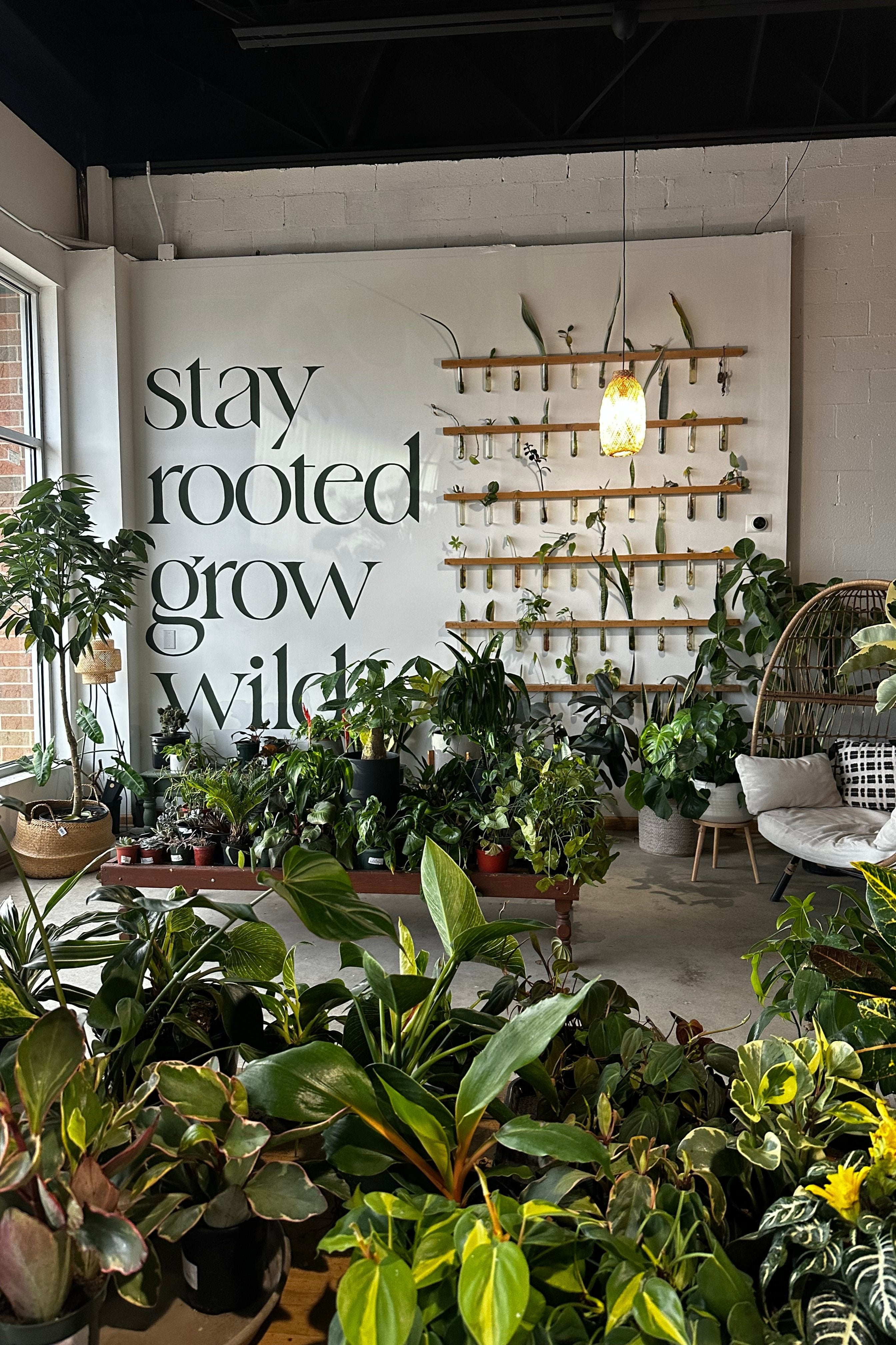 FIND US AT THE GREENHOUSE