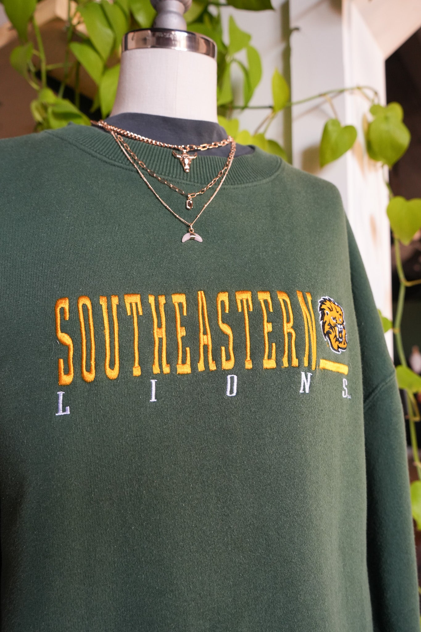 Sideline Pride – Southeast Lions Sweatshirt (XL, Green)