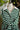 The Ashford Rugby Shirt